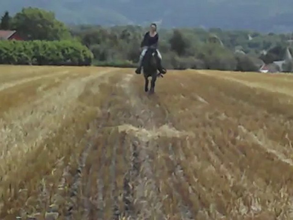 Tj galop champs de paille :)