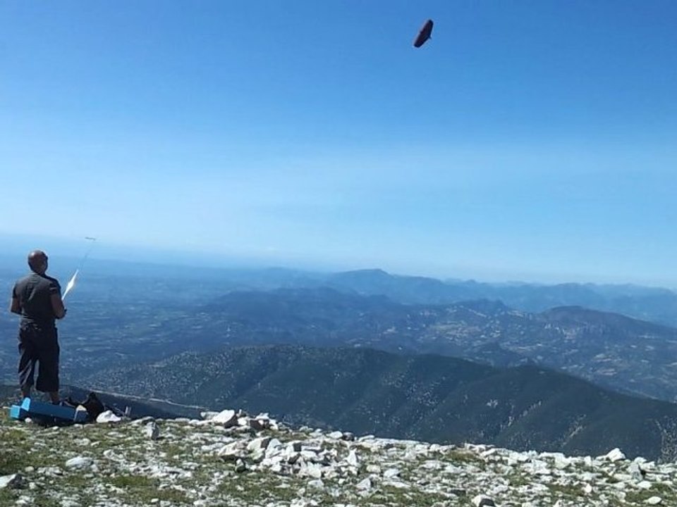 weasel mont Ventoux (altitude 1912m)