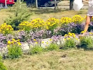 Boris Dali Drink and Drive OFFICIAL VIDEO