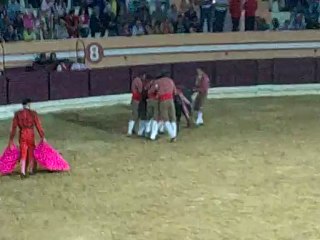 RUI GODINHO AMADORES VILA FRANCA PEGA TOIRO PALHA. SALVATERRA MAGOS 28 JULHO 2012