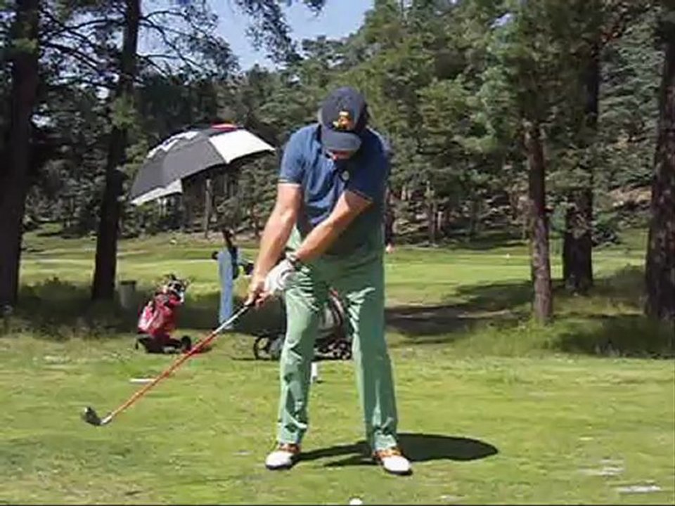 Robert's swing