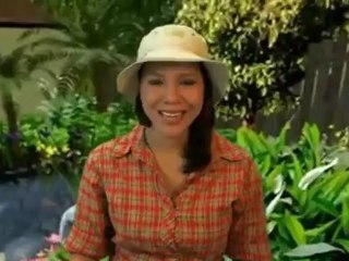 Bird Bath - Deluxe Birdbath Review