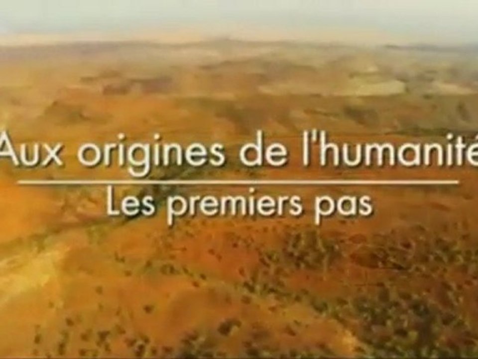 Aux Origines De L' Humanité
