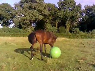 Bébou, plus de 15 mois, retrouve son ballon!!!