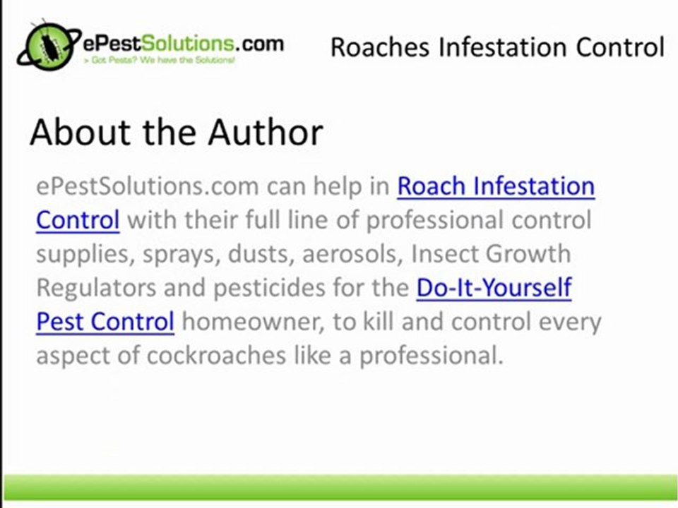 Roaches Infestation Control - The Do-It-Yourself Cockroach Killer