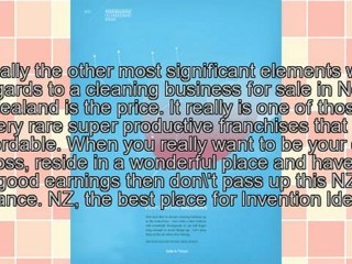 Invention Ideas | Could A New Zealand Cleaning Business For Sale Become A Scam?