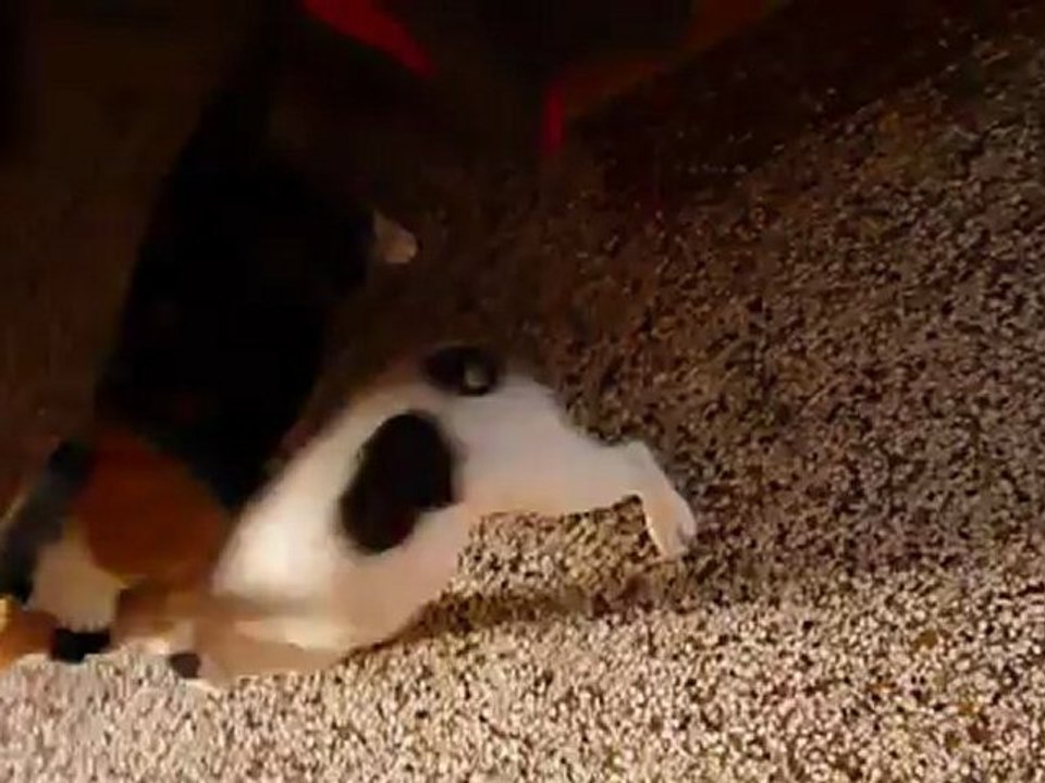 Olga et Colette jouent ds le couloir 29-07-2012 (2)