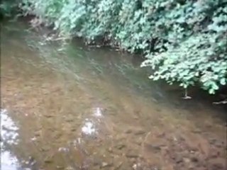 Mon 3eme défis(100 metres pour les J.O)OU PAS!!:(