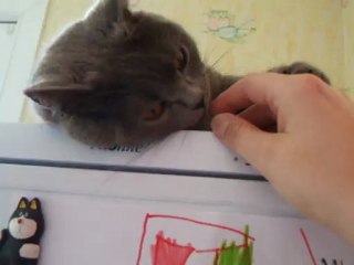 Farah et les bisous, et les calins...