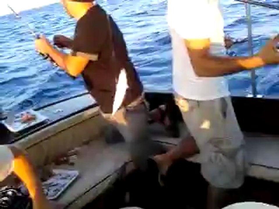 Video-0005