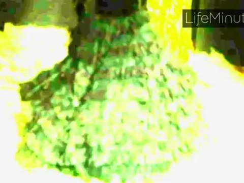 Betsey Johnson's Advice to E! Star Kelly Osbourne