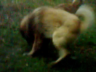 Video0048