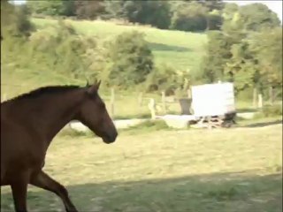 1er Août, journée avec le du Garon. ♥