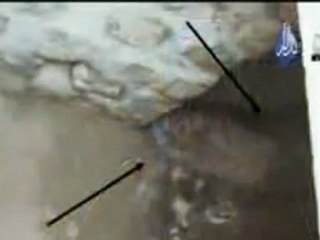 Olu yikayici ve ibretlik olaylar. Bolum 13 (13/18)