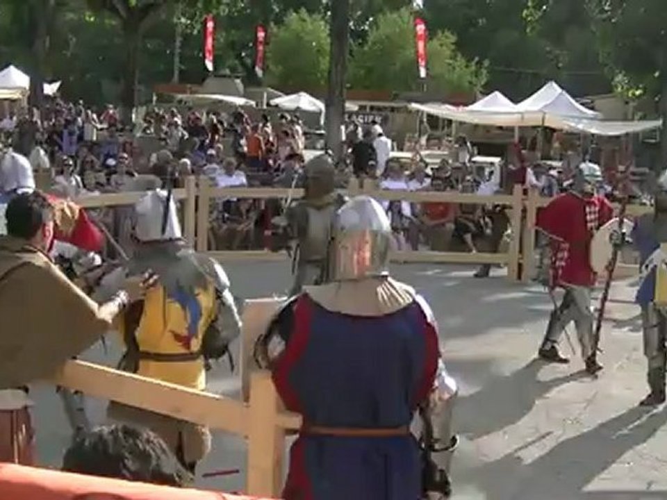 Tournoi en lice de Laroque - Cimier