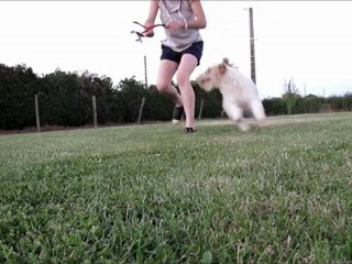 Choupette séance d'obr 31.07.12