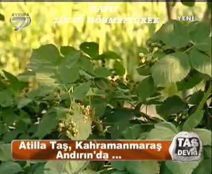 Atilla Taş Devri Kahramanmaras-ANDIRIN -Bölüm-2-LÜTFÜ DÖNMEZYÜREK