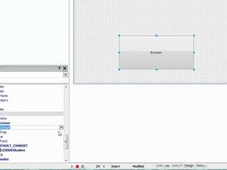 C++ Builder #2: Guia Básico de Programação