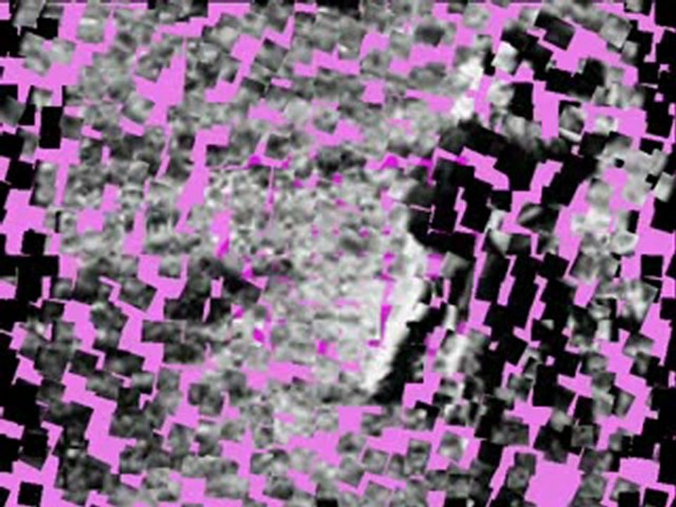 Fatih  KISAPARMAK          "BASIMIN  BELASI "