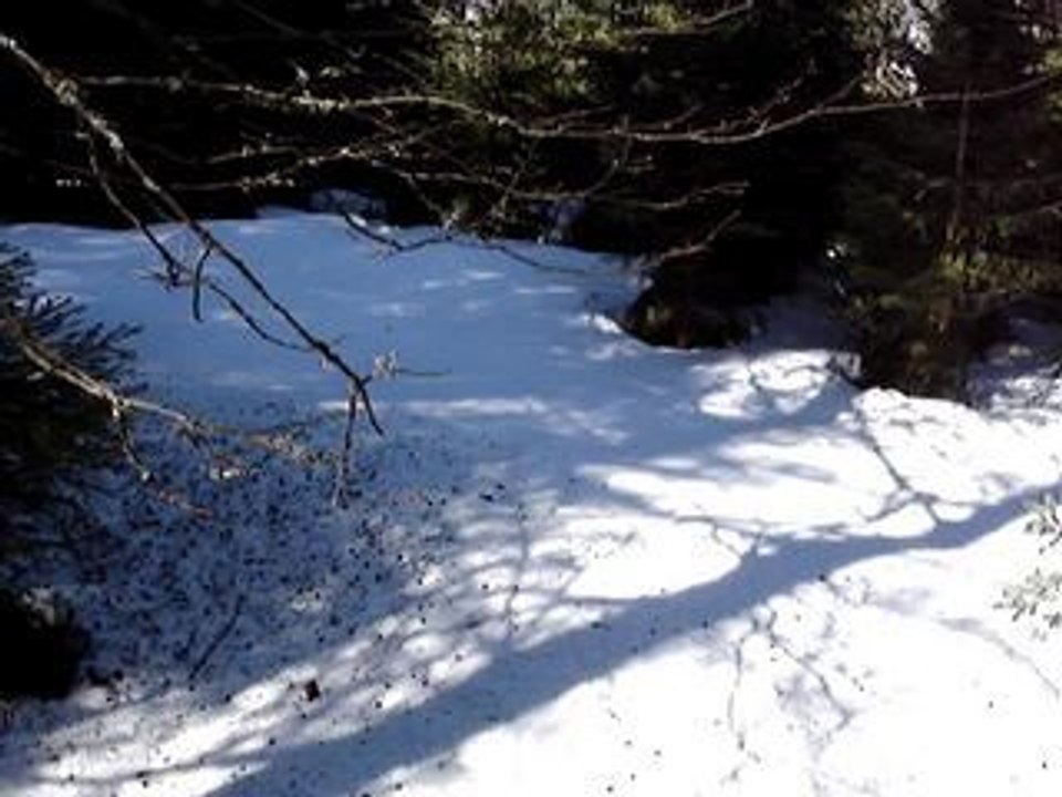 Ski Hors piste Vosgien