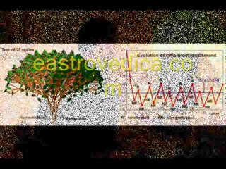 Physiological Rhythms