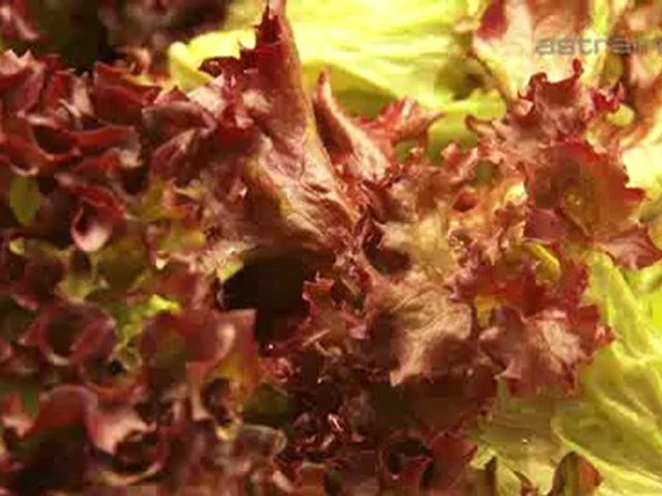 Altersheim Pflegeheim Seniorenresidenz Kursana Residenz St. Gallen