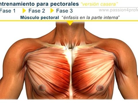 Entrenamiento para pectorales