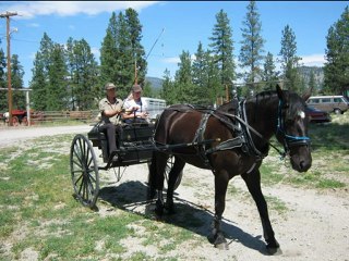 Summerland trail rides 1
