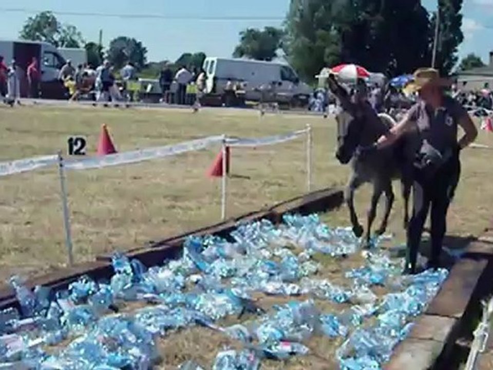 Viky beaurepaire 2012