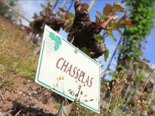 Lavaux - La Vie de Chalet Episode 68 Saison 2 Série 3