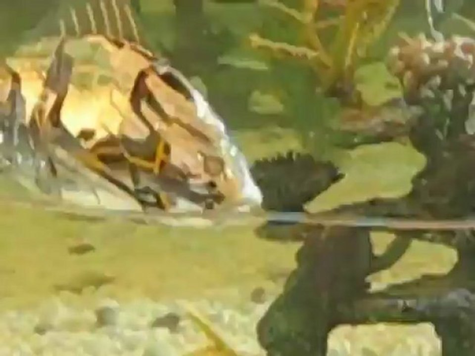 Robot Fish