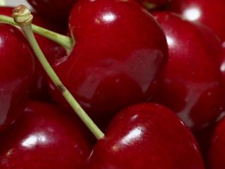 Film : SERIE - EPICERIE FINE - LES CERISES DES MONTS DE VENASQUE