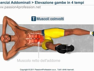Elevazione gambe in 4 tempi