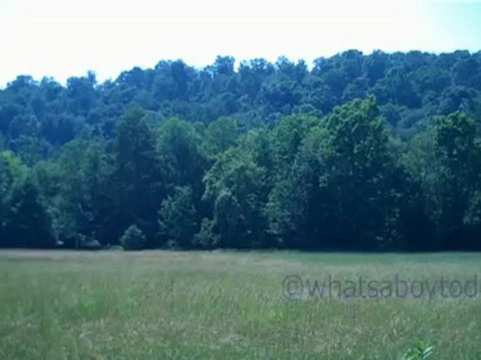30 Seconds of Peace: A Mountain View