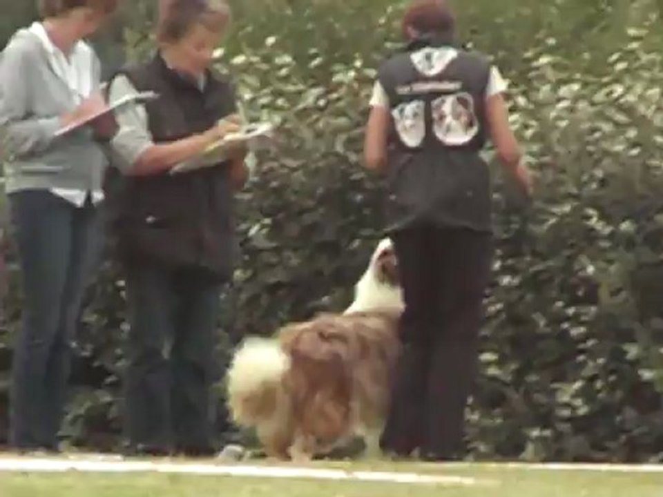 back concours cavage tresses