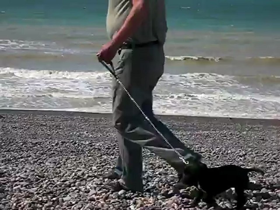 La baignade de la délivrance