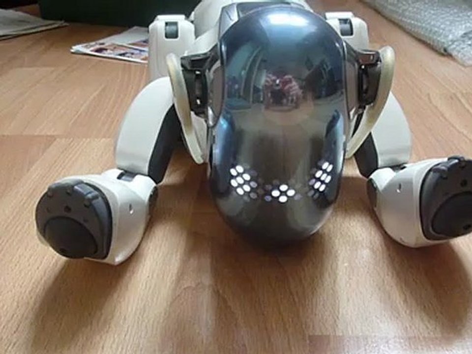 Bug Sony Aibo