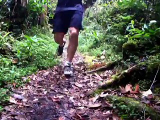 Fantástico 29-07-2012 Parte 4 Edição de domingo