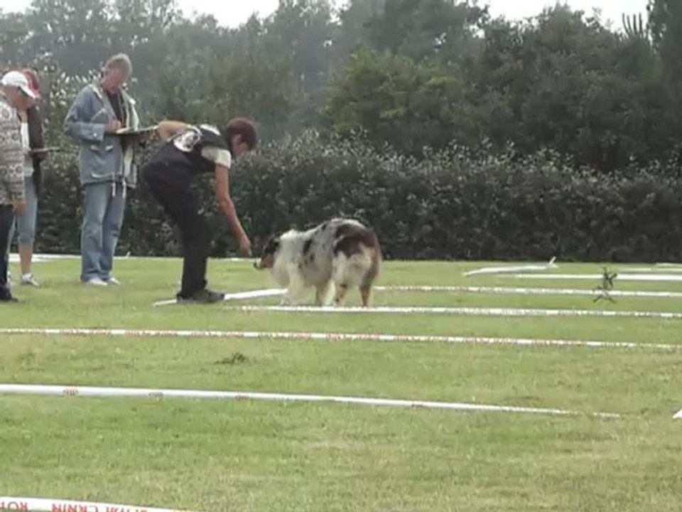 fox concours cavage tresses