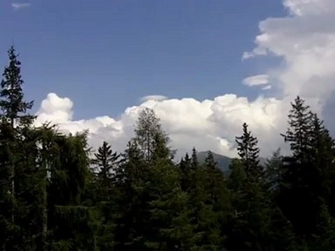 Vertrieb - Motivation zum Erfolg von Ernst Crameri