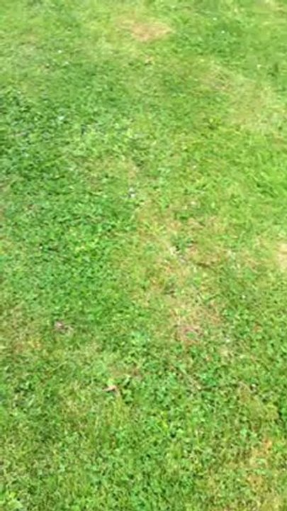 Golf : 8° prix de la Ville de Saint Dié des Vosges