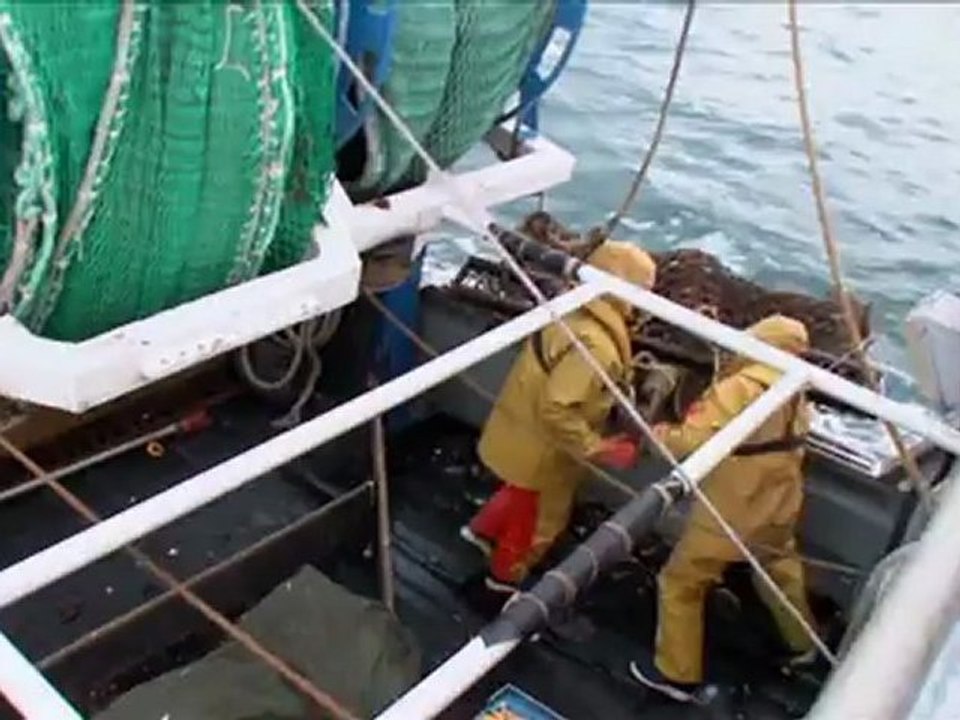 Film : SERIE - EPICERIE FINE - LA COQUILLE ST JACQUES DE LA BAIE DE ST BRIEUC