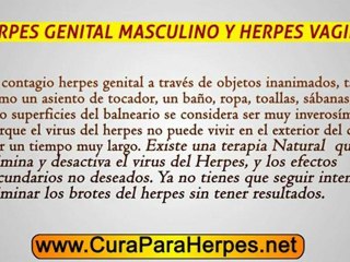 Herpes Genital Masculino Y Herpes Vaginal