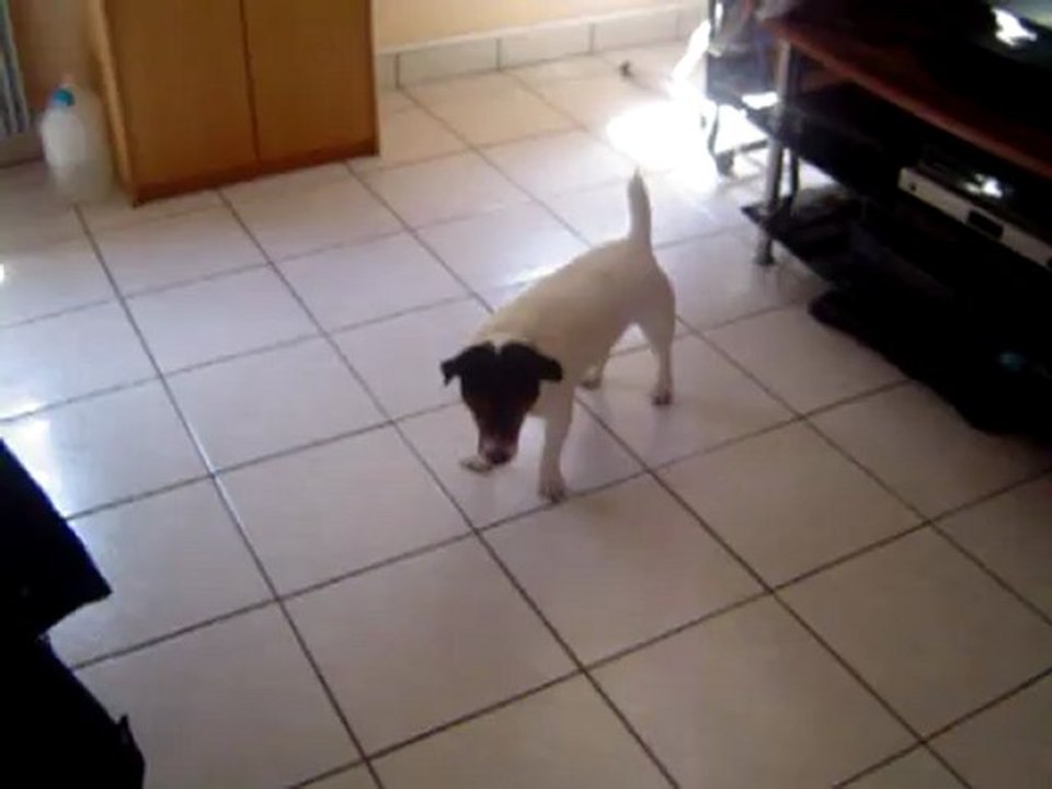 pilou et le ballai