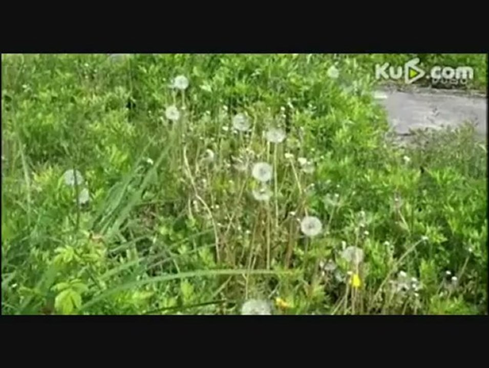 Mano Erina Song For the Date Making Of