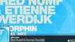 Fred Numf & Etienne Overdijk - Endorphin (Original Mix)