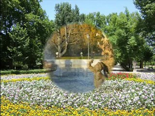 Ewa Dani Sikocińska - Concierto De Aranjuez