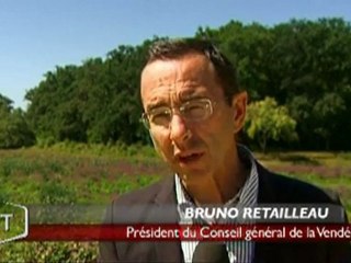 Le Parc du Plessis Bergeret protégé (La Ferrière)