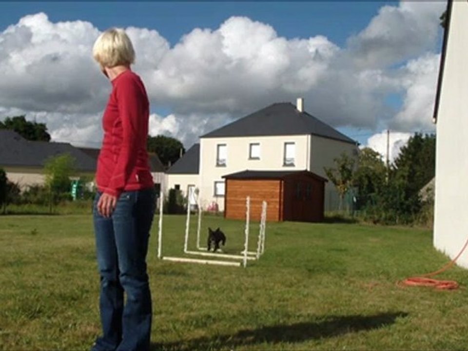 Vodka Running A-Frame 14th training
