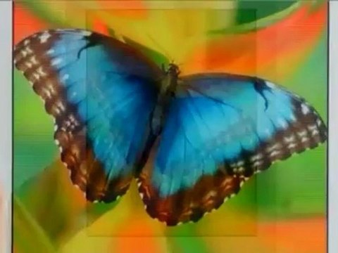 Jury Selection Begins in High Stakes Apple-Samsung Patent Battle